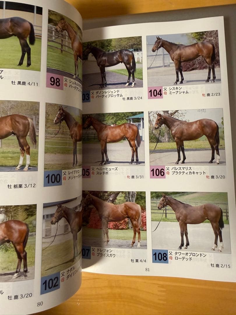 SELECTION SALE セレクションセール 2026 セリ — image 3