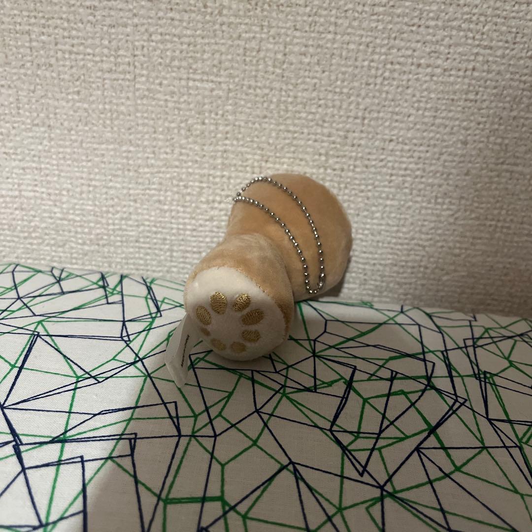 にっこりーノ　蓮根 — image 4