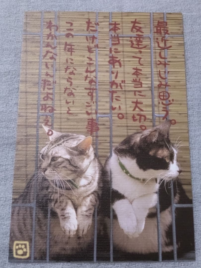 犬猫のメッセージポストカード 15枚セット — image 2