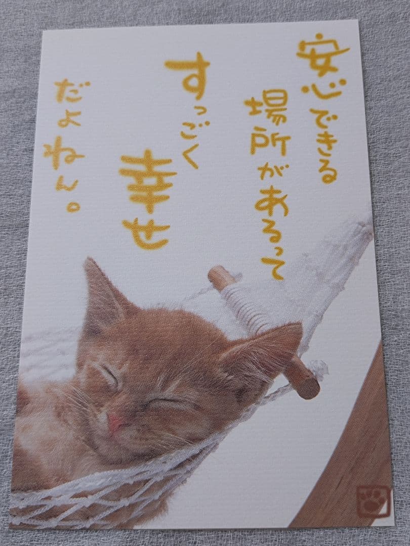 犬猫のメッセージポストカード 15枚セット — image 4