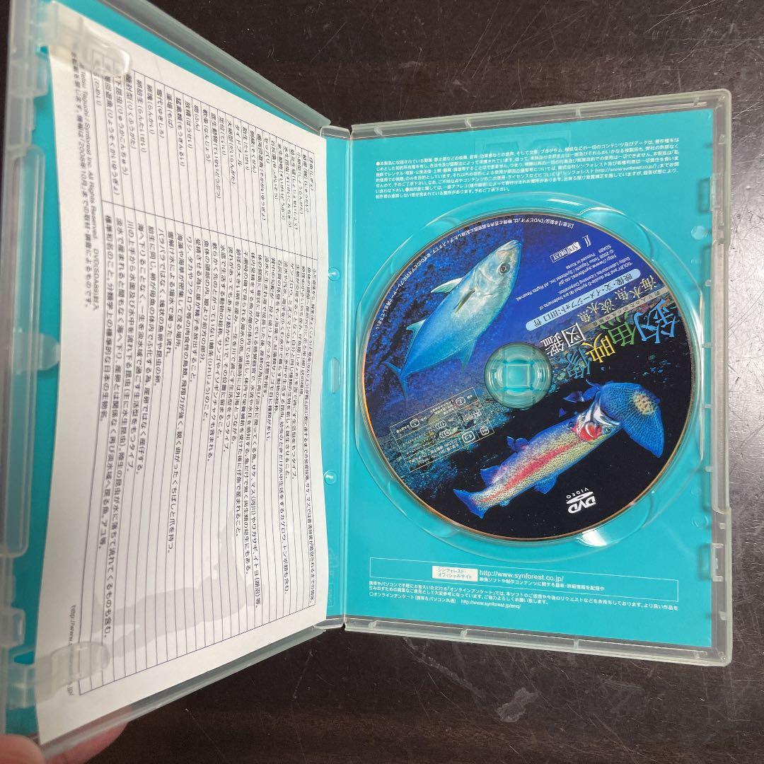 釣魚映像図鑑 海水魚・淡水魚 釣り人のための水中映像 — image 3