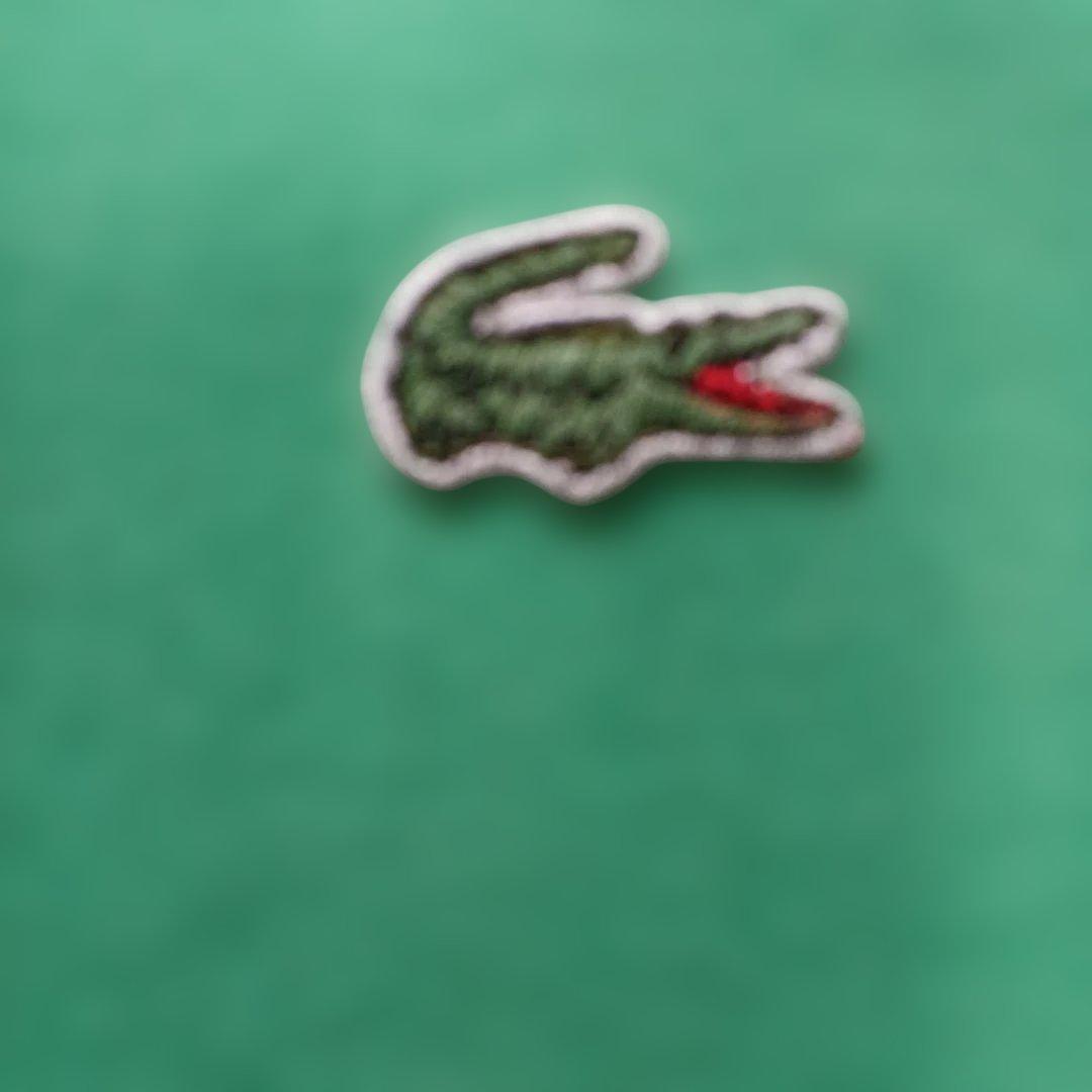 CHEMISE LACOSTE ポロシャツ — image 2