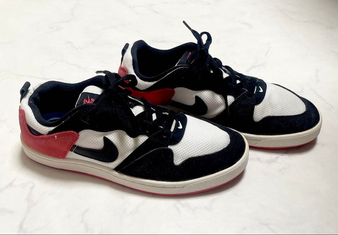 Nike SB Alleyoop ナイキ SB アリウープ 24.5cm — image 2