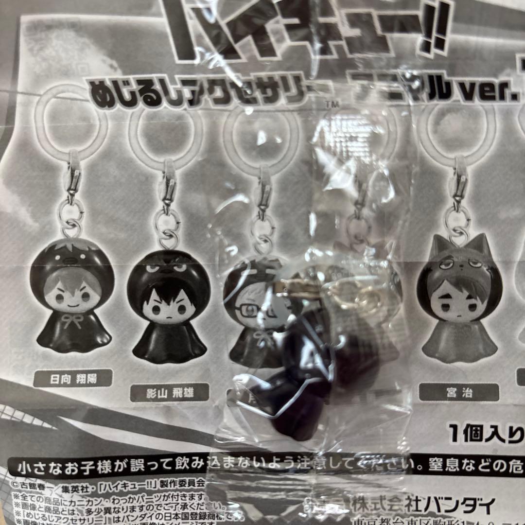 ハイキュー　めじるしアクセサリー　アニマル　ver.1 — image 2