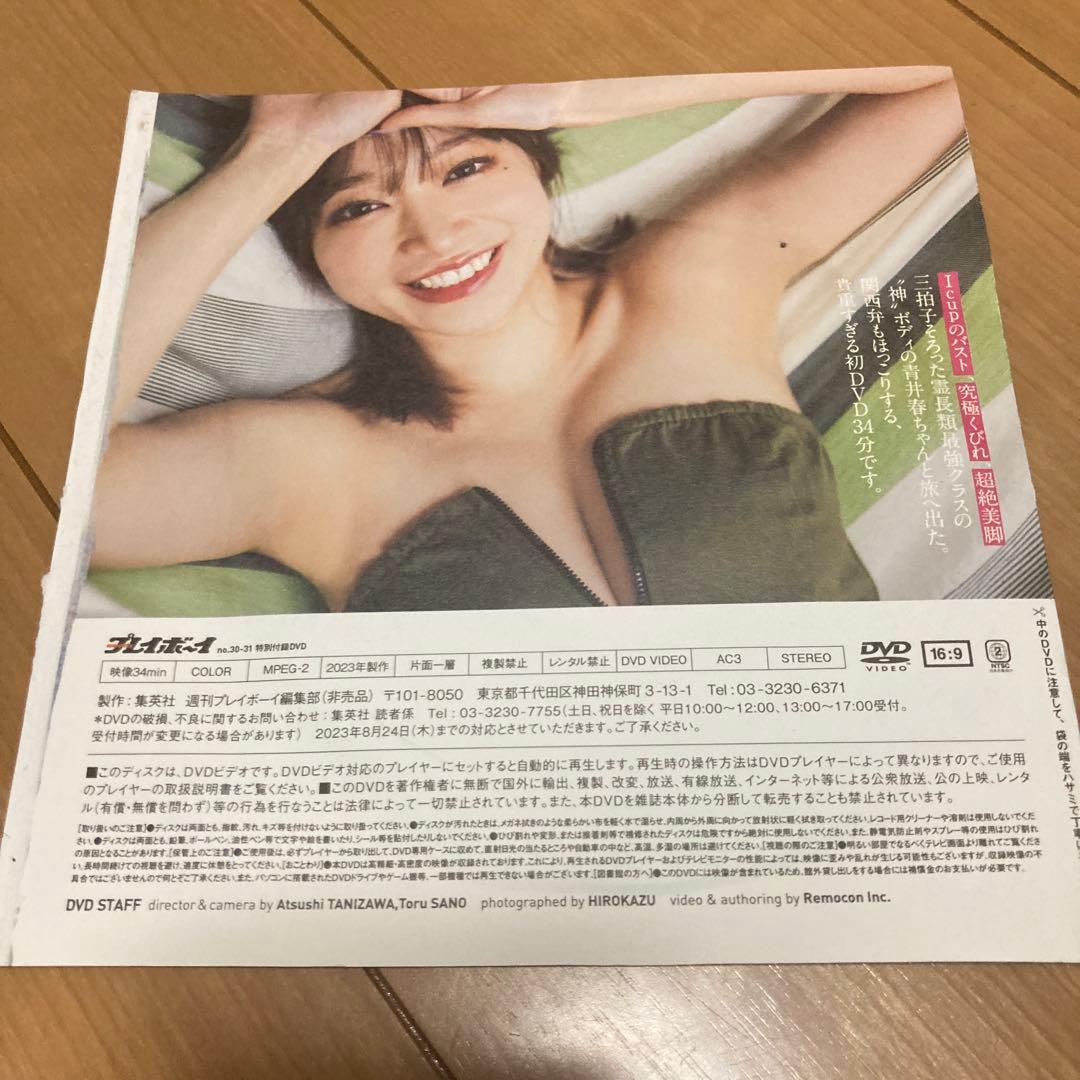 青井春 Love Journey DVD 週刊プレイボーイ付録 — image 2
