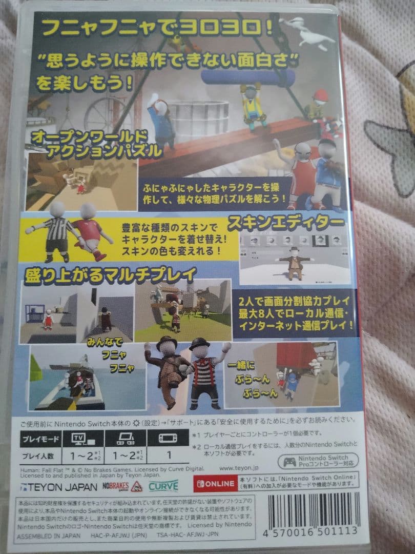 ヒューマンフォールフラット　Human Fall Flat Switch　ソフト — image 2