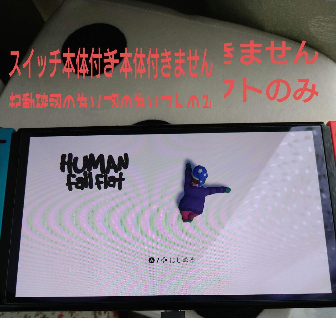 ヒューマンフォールフラット　Human Fall Flat Switch　ソフト — image 3
