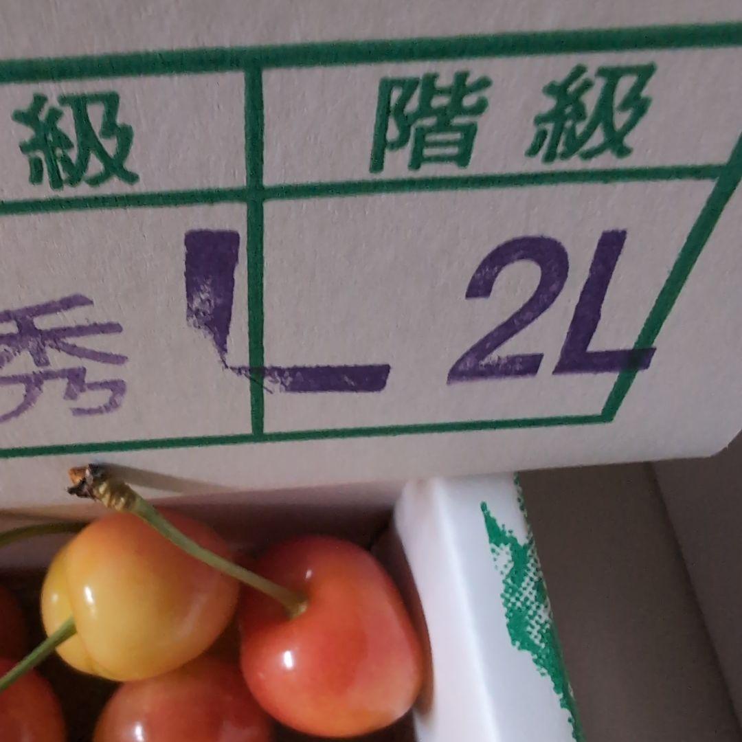 nNO265紅きらり秀品Lサイズ〜2Lサイズ１キロ二箱 — image 4