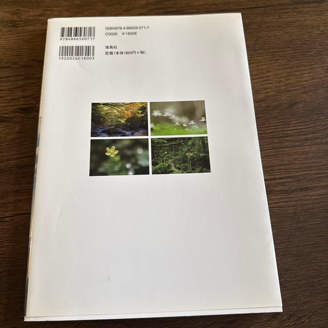 脊振山系徹底踏査! — image 2