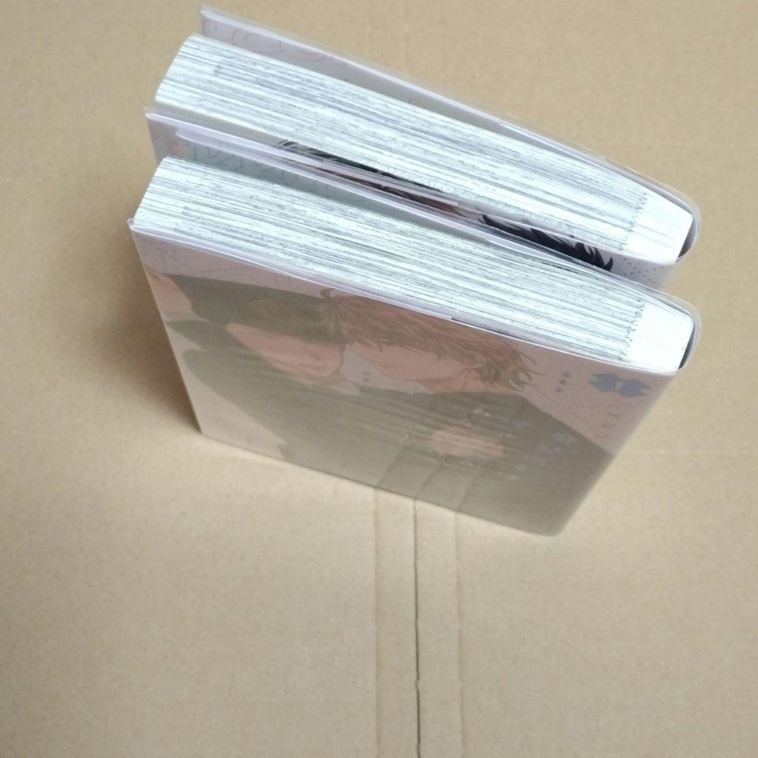 鷹埜巡査は愛され方がわからない 1巻 2巻　泉くれは — image 3