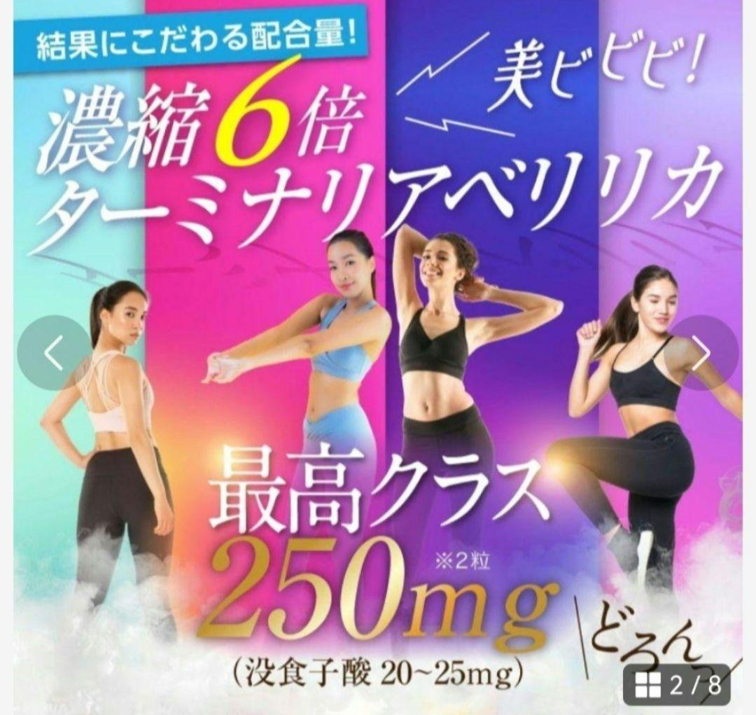 ターミナリアベリリカ ダイエット ブラックジンジャー エラグ酸 健康 正月太り — image 2