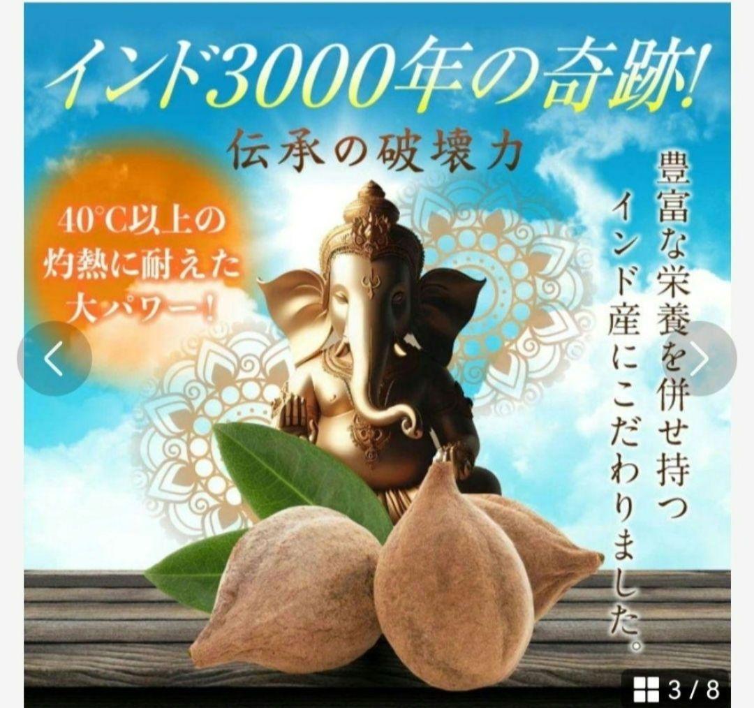 ターミナリアベリリカ ダイエット ブラックジンジャー エラグ酸 健康 正月太り — image 3