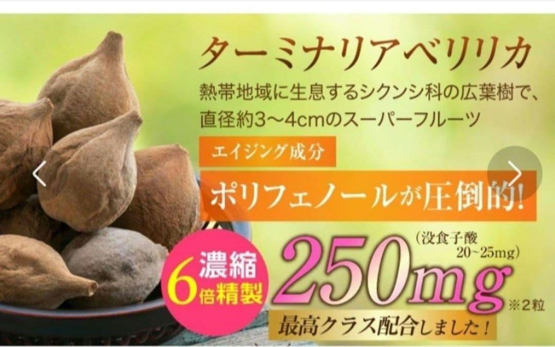 ターミナリアベリリカ ダイエット ブラックジンジャー エラグ酸 健康 正月太り — image 4