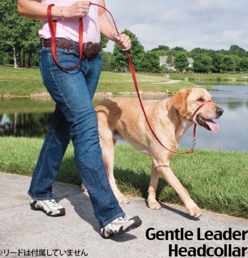 新品　正規品　Petsafe ジェントルリーダー L ピンク　引っ張り防止 犬 — image 3