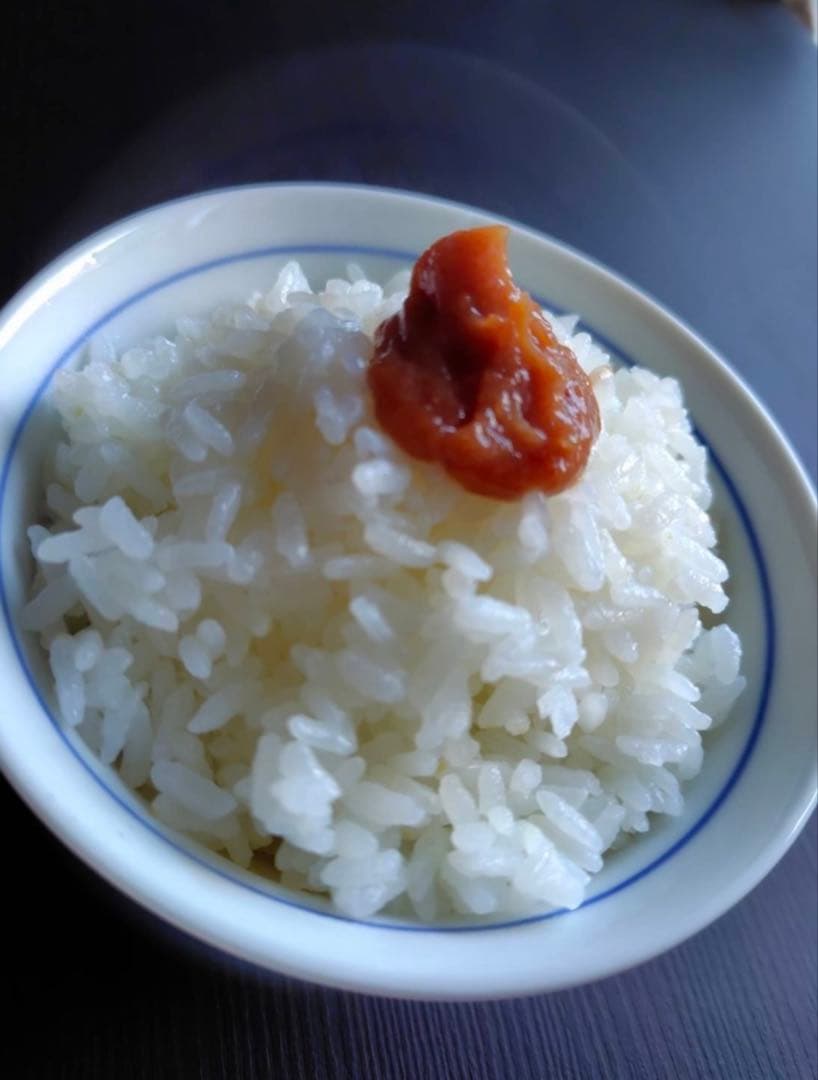 昔ながらの梅干し　梅肉（ねり梅）　400g　#966 — image 2