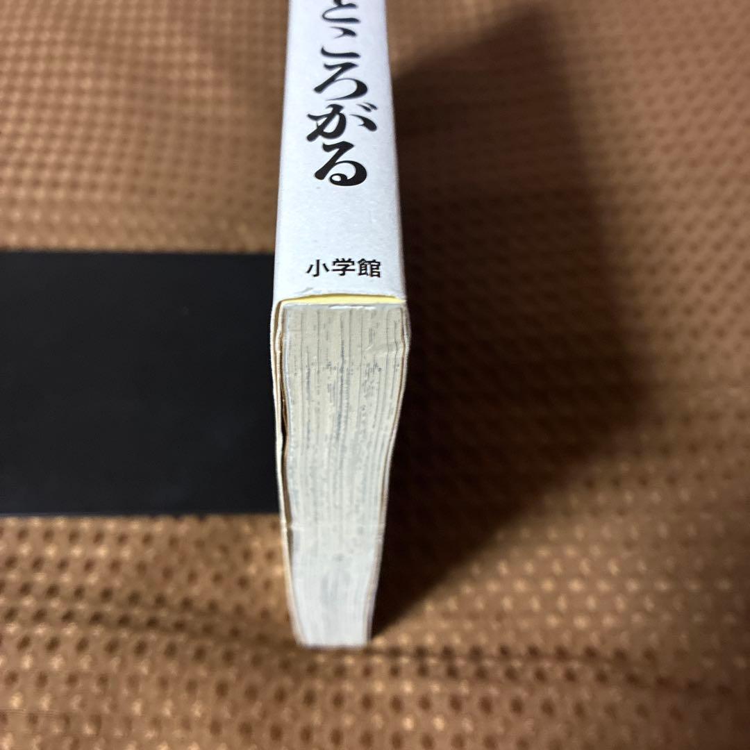 【美品▪️匿名配送】ころぶところがる　黒田硫黄 — image 4