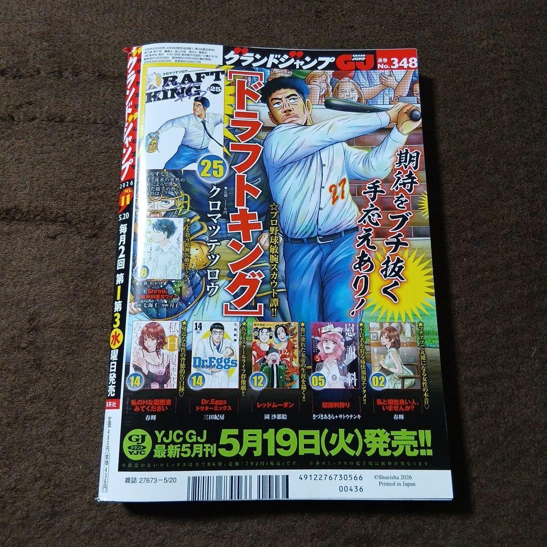 グランドジャンプ No.11 — image 2