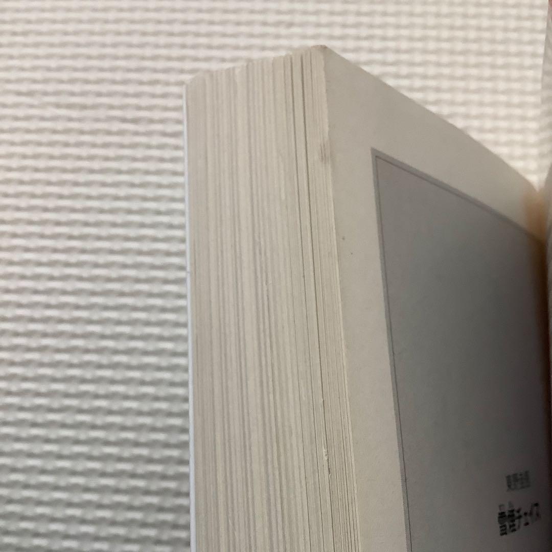 雪煙チェイス — image 3