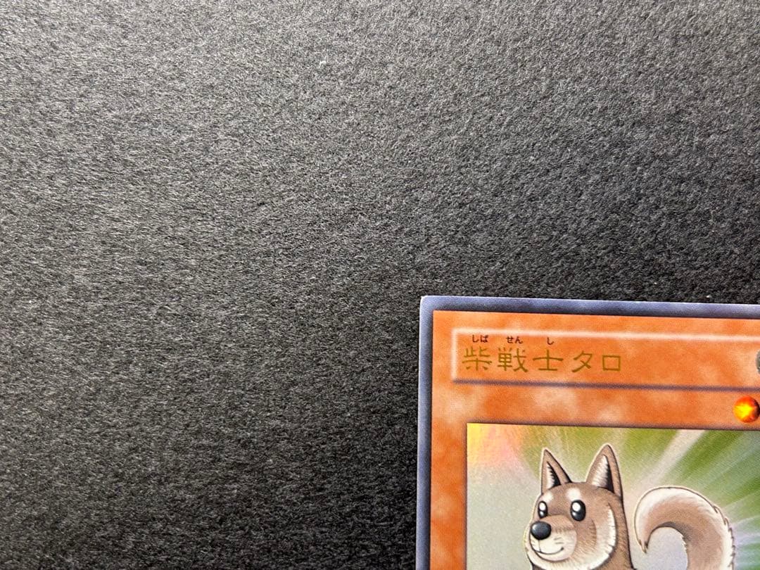 遊戯王 柴戦士タロ — image 2