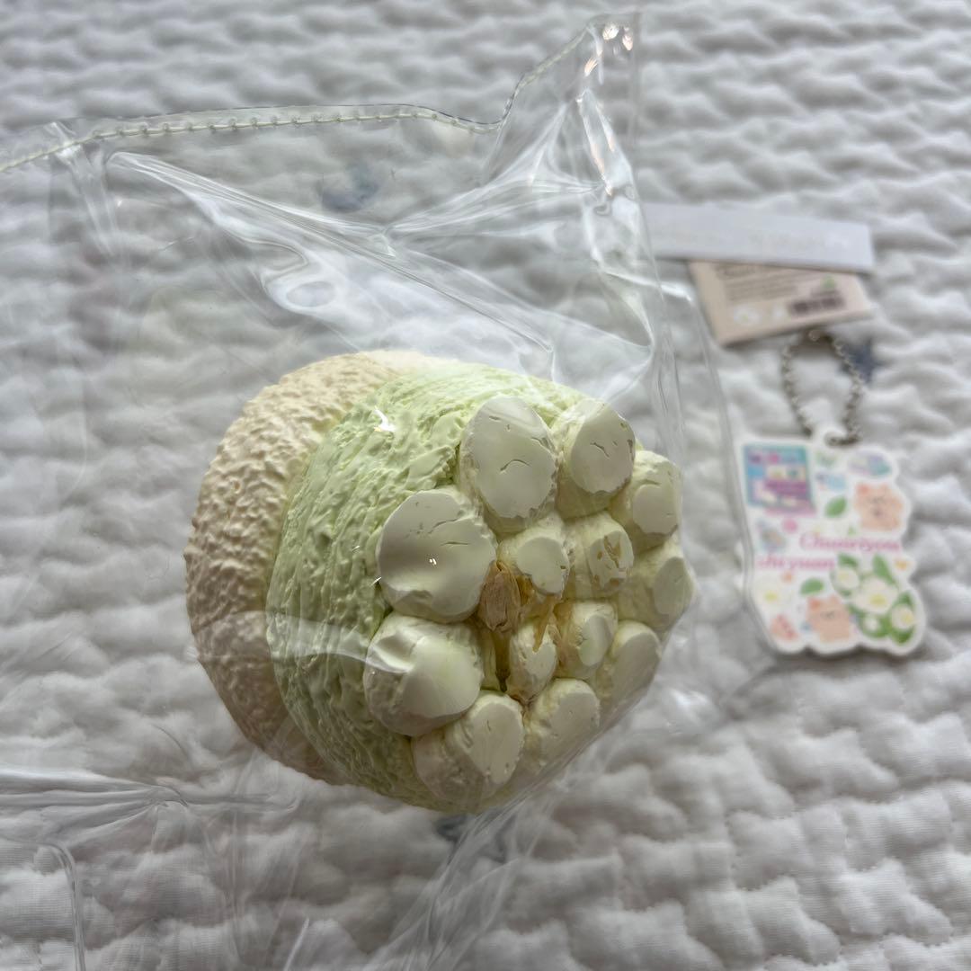 《最新作！新品》春日幼稚園　茉莉花シリーズ　スクイーズ　スタジオ　ブランド — image 5