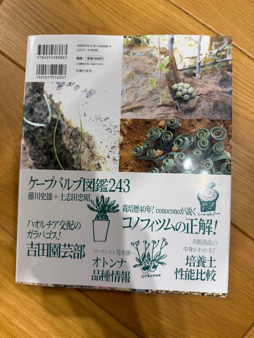 Bplants ビザールプランツ 冬型 珍奇植物最新情報 — image 2