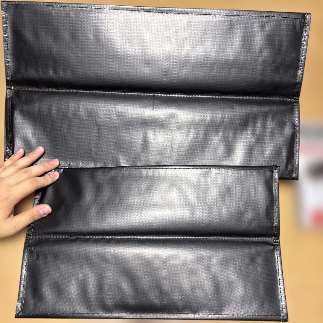 コストコ エグゼクティブメンバーシップ バッグ 2枚セット — image 3