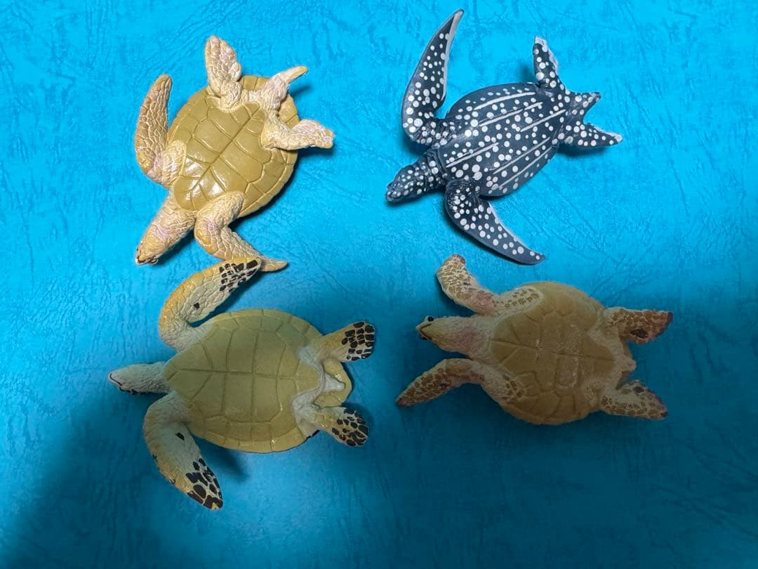 ウミガメ フィギュア 4体セット — image 2