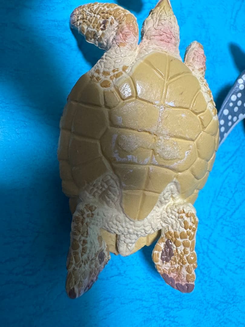 ウミガメ フィギュア 4体セット — image 3