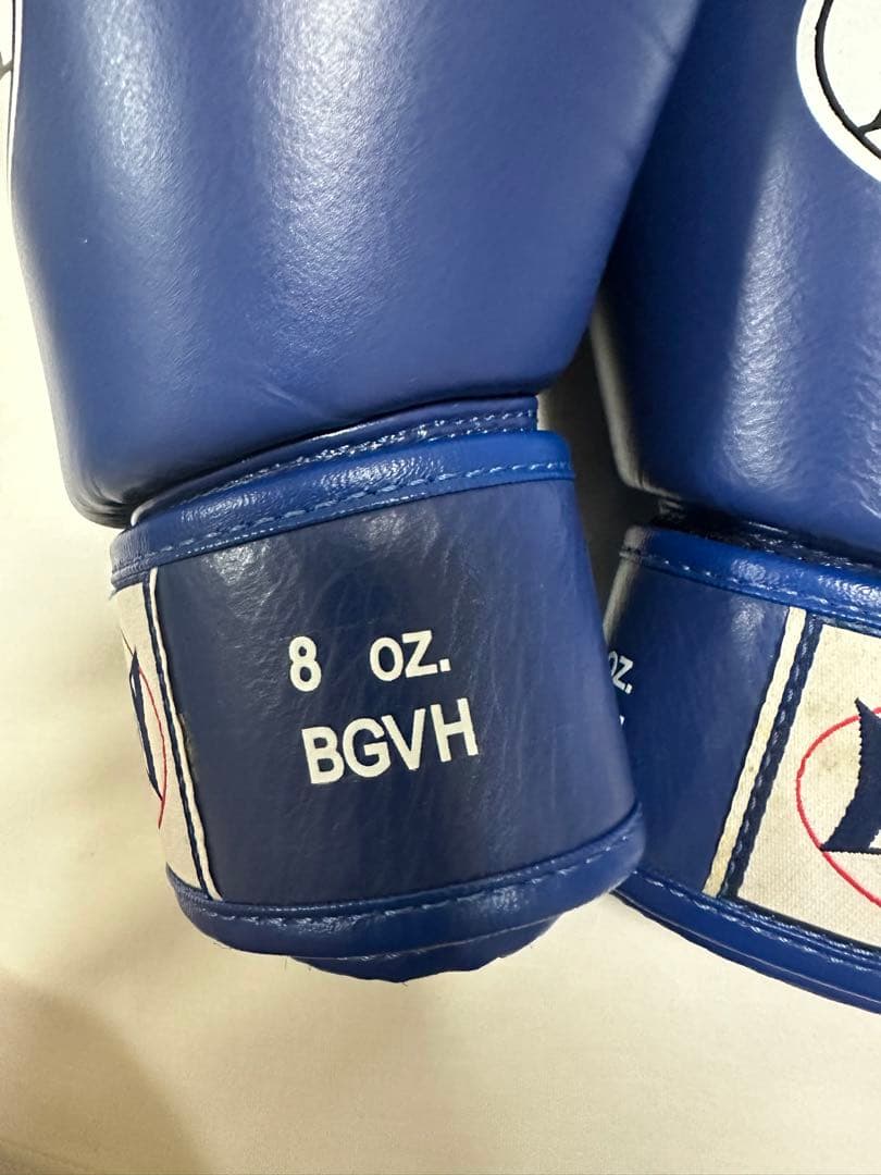 WINDY ボクシンググローブ BGVH 8oz ブルー — image 3