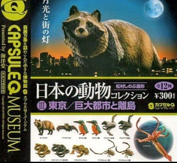 カプセルQ ホンドタヌキ 海洋堂 日本の動物コレクション 松村しのぶ — image 3