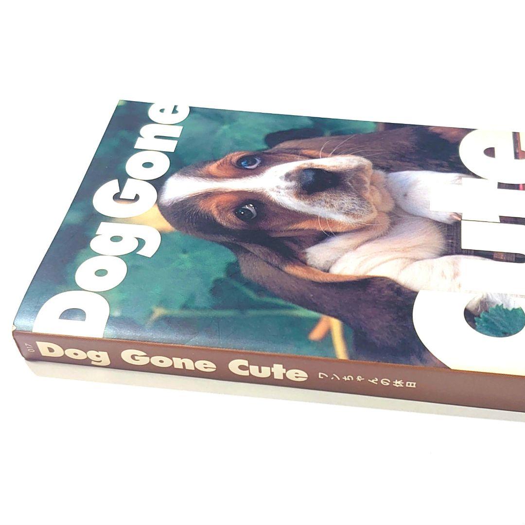 ◇ジャンク◇Dog Gone Cute ポストカードブック 30枚綴り — image 3