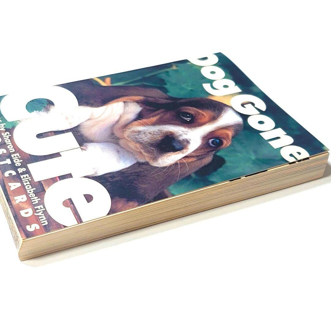 ◇ジャンク◇Dog Gone Cute ポストカードブック 30枚綴り — image 4
