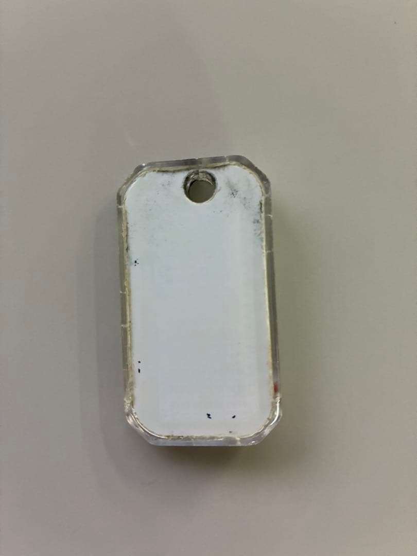 L.L.Bean ZIP-O-GAGE 温度計キーホルダー — image 2