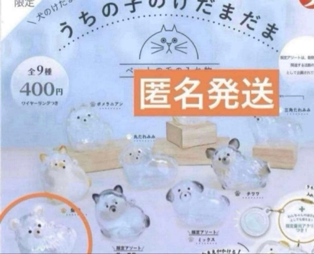 うちの子のけだまだま　犬　チワワ（白）　シープラ 限定 — image 2