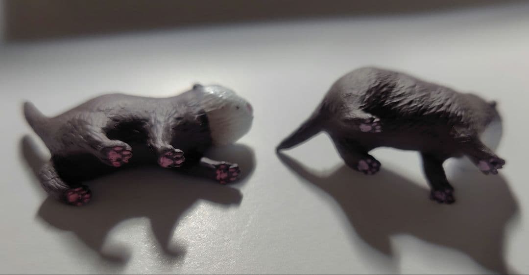 コツメカワウソ カプセルトイ 2個セット — image 3