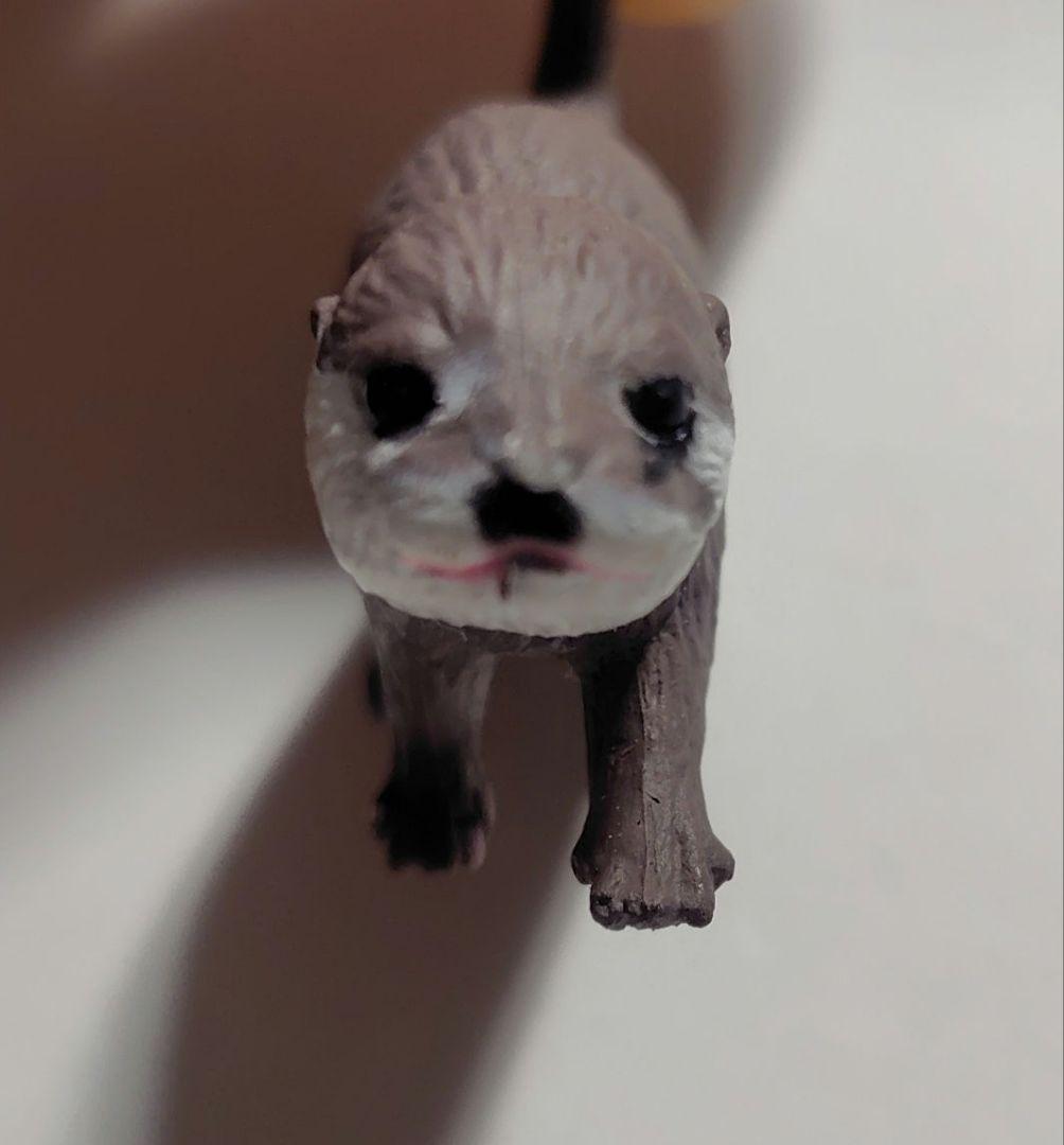 コツメカワウソ カプセルトイ 2個セット — image 4
