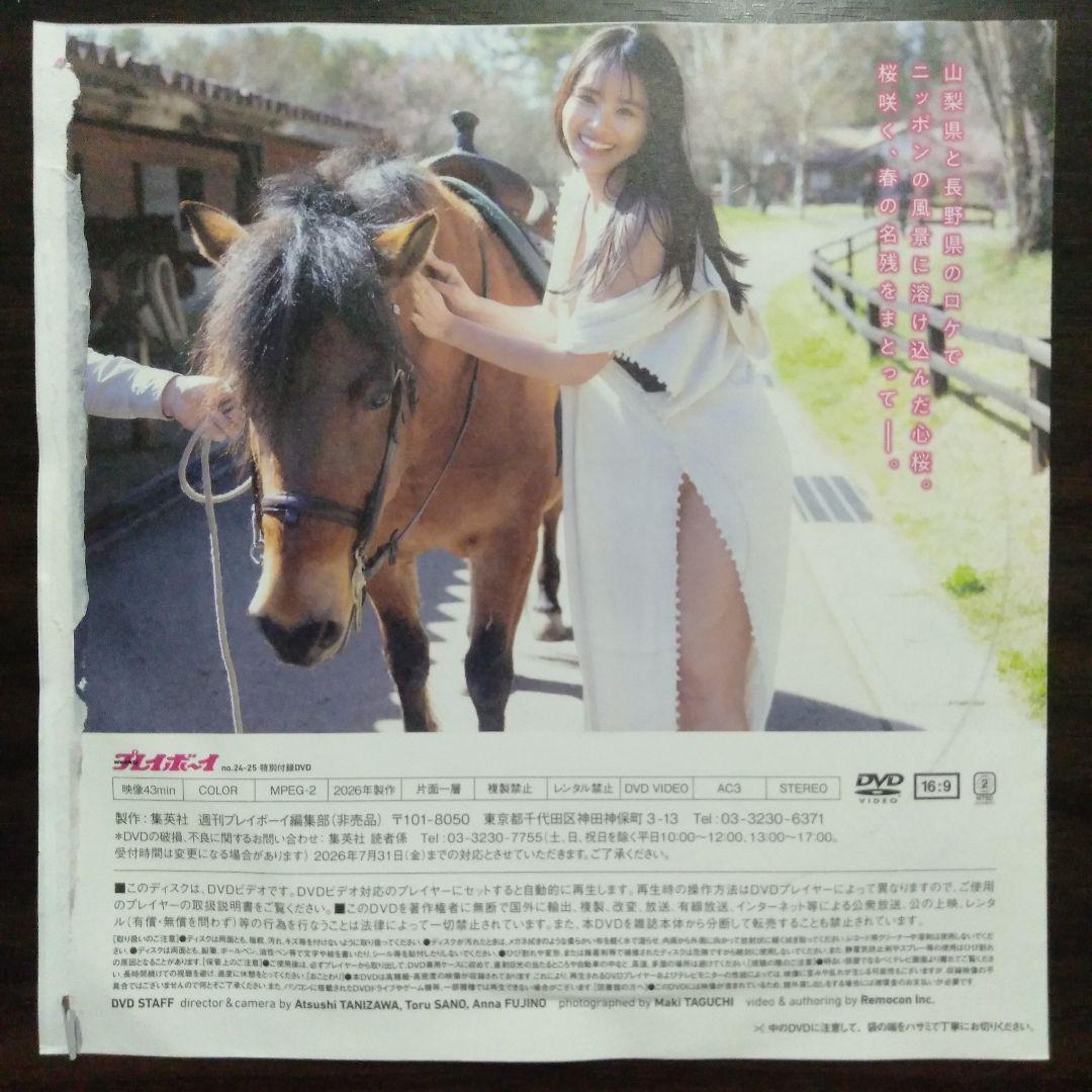 【７７７円 ➡５５５円】豊島心桜 心桜、咲く。 DVD プレイボーイ 付録 — image 2