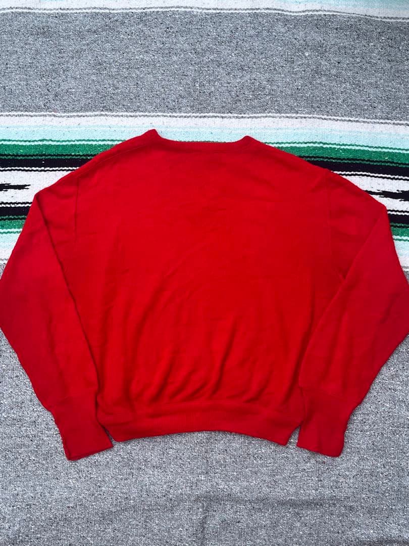 70s IZOD LACOSTE Ｖネックニット — image 2
