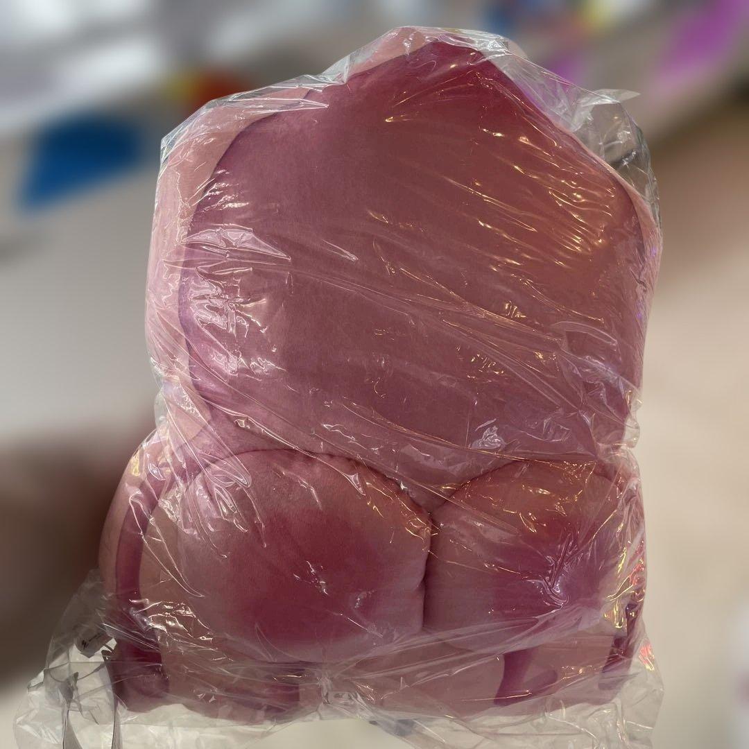 タグ付き！こびとづかん カクレモモジリのおしりクッション — image 2