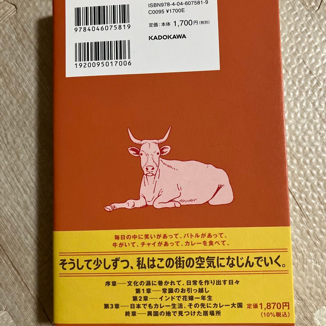 インド嫁1年生、異国生活奮闘記　嫁カレーチャンネル — image 2
