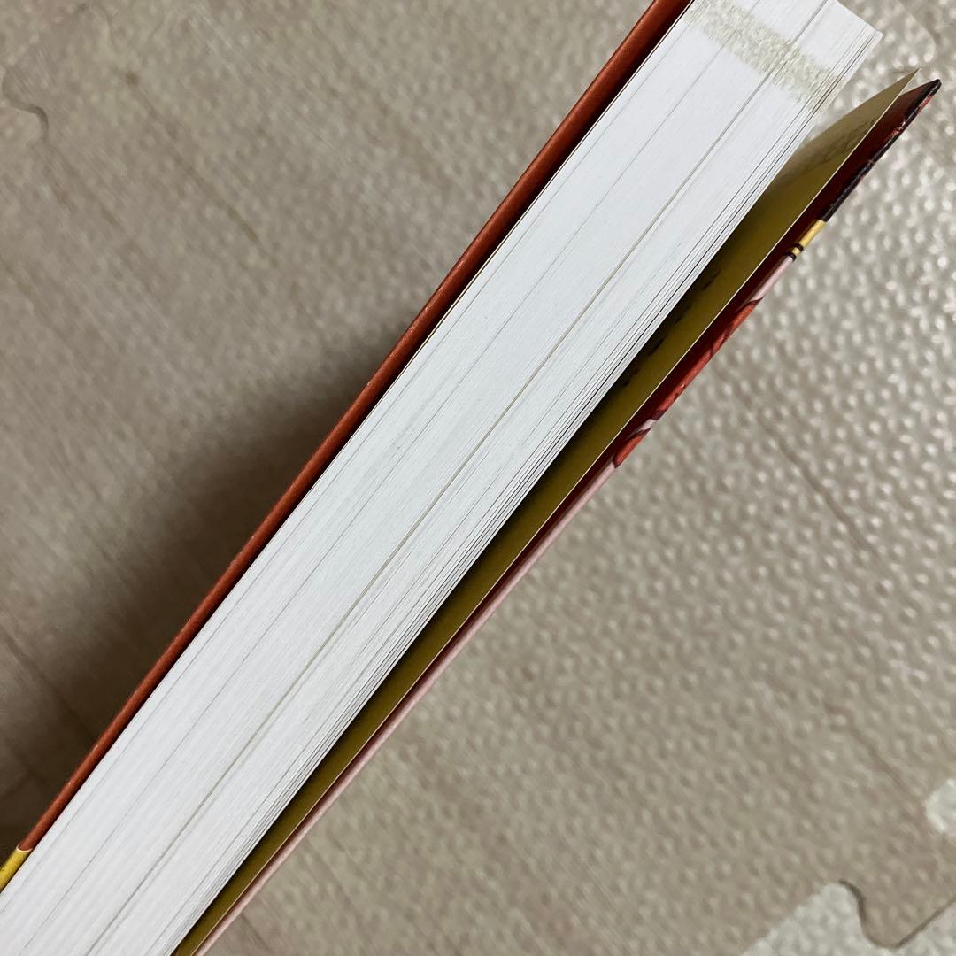 インド嫁1年生、異国生活奮闘記　嫁カレーチャンネル — image 4