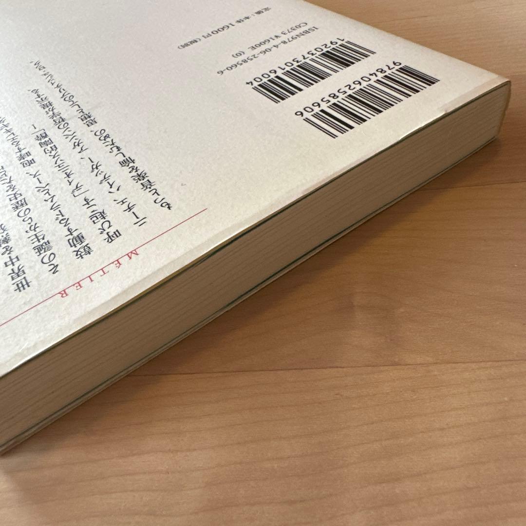 『ブリティッシュ・ロック 思想・魂・哲学』林浩平 — image 5