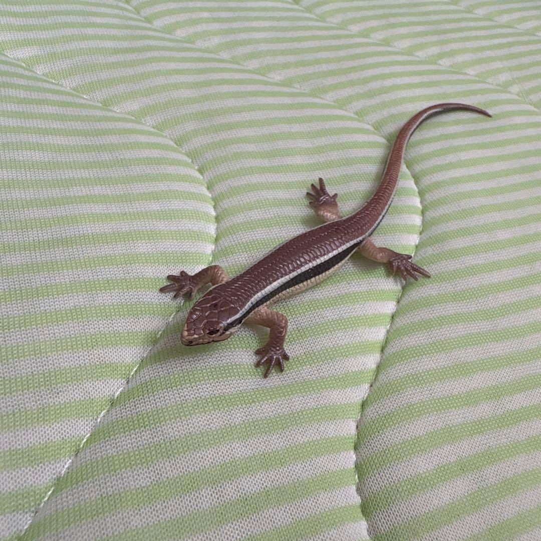 トカゲ フィギュア マグネット付き — image 2