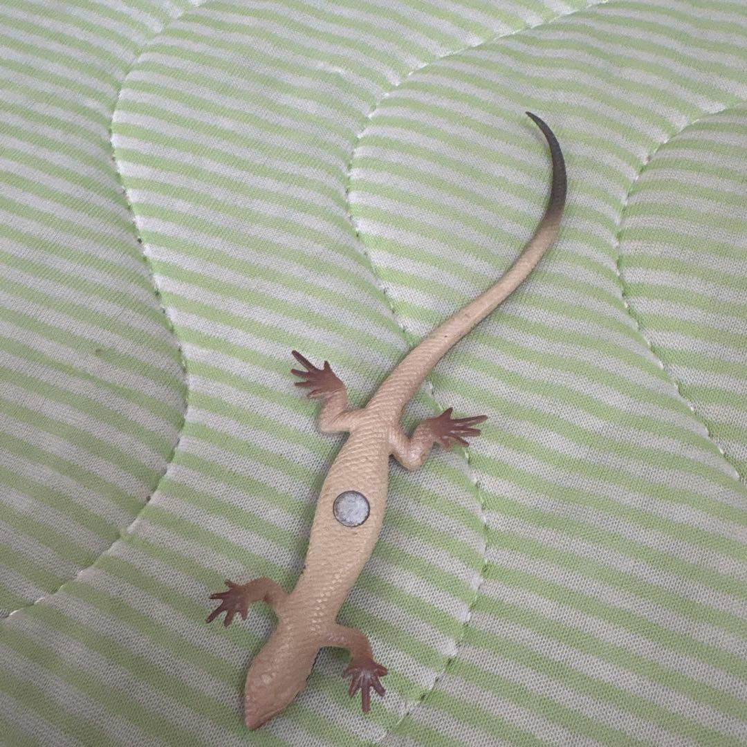 トカゲ フィギュア マグネット付き — image 4