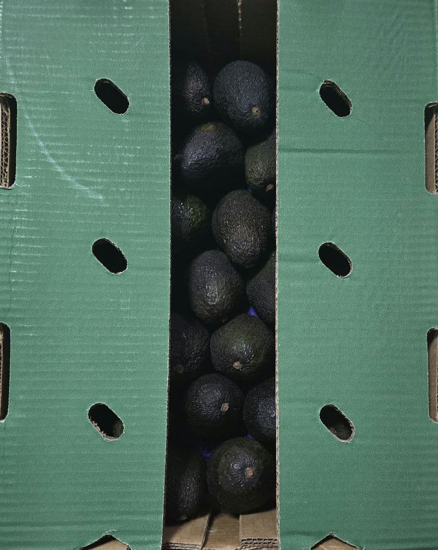 ペルー産　アボカド　1箱35個入り — image 2