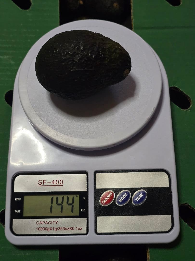 ペルー産　アボカド　1箱35個入り — image 3