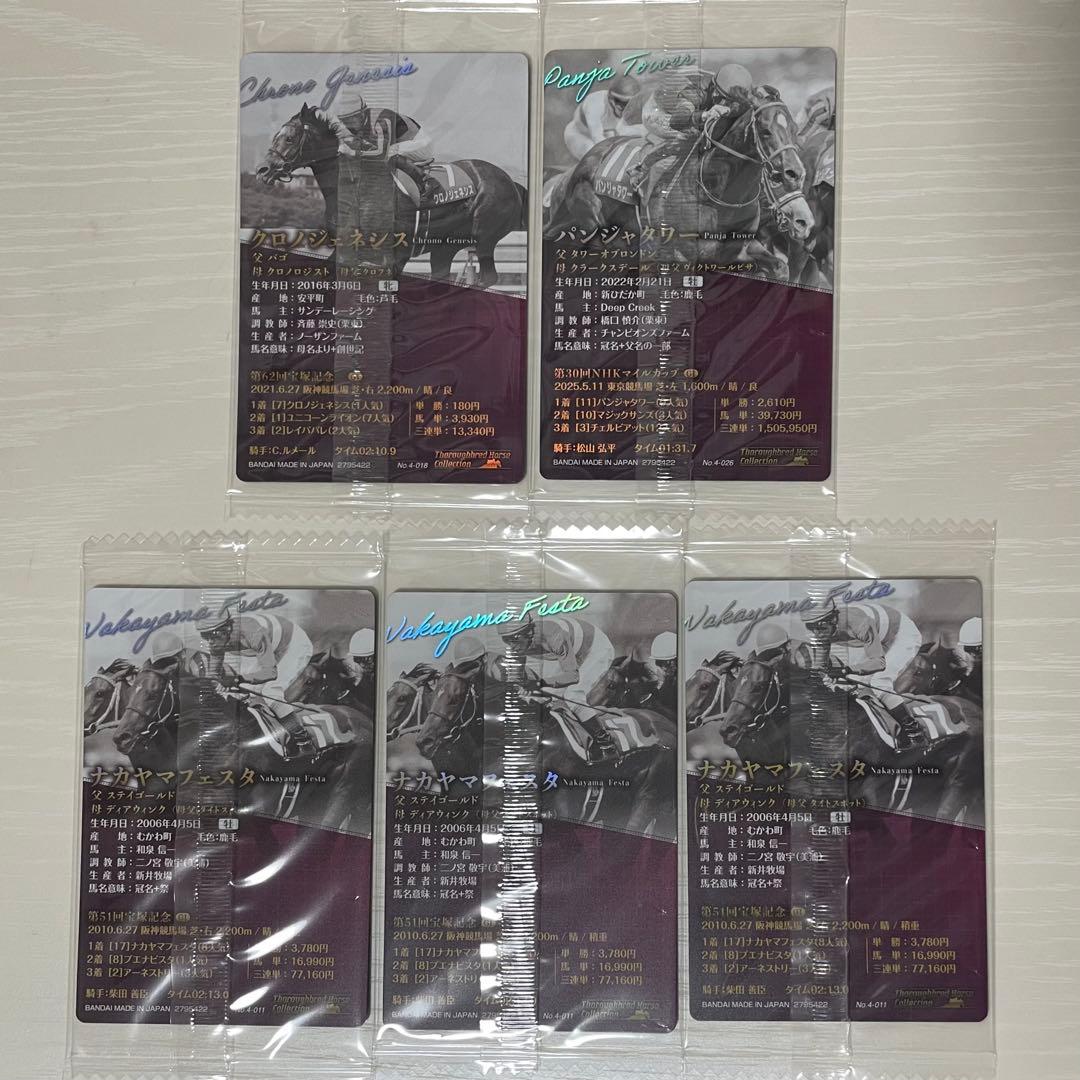 サラブレッドホースC 4R クロノジェネシス ナカヤマフェスタ パンジャタワー — image 2