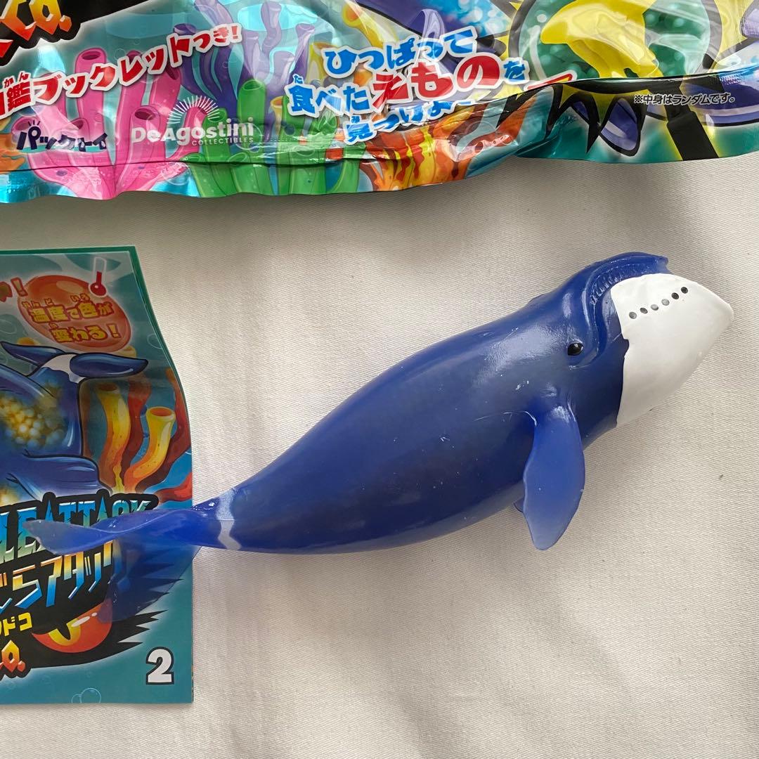 【未使用】 くじらアタック&co. アンドコ ホッキョククジラ — image 3