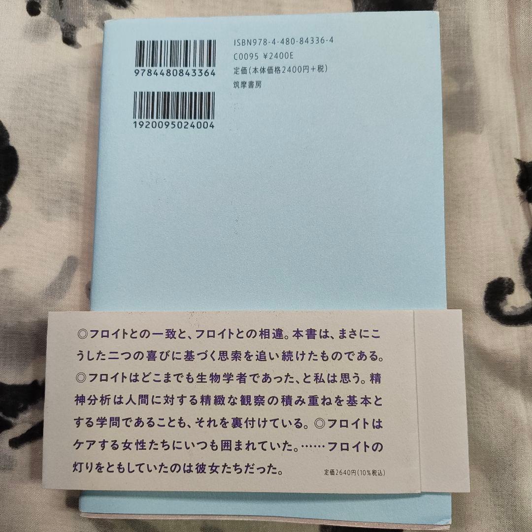 フロイトの灯 現代精神分析入門 — image 2