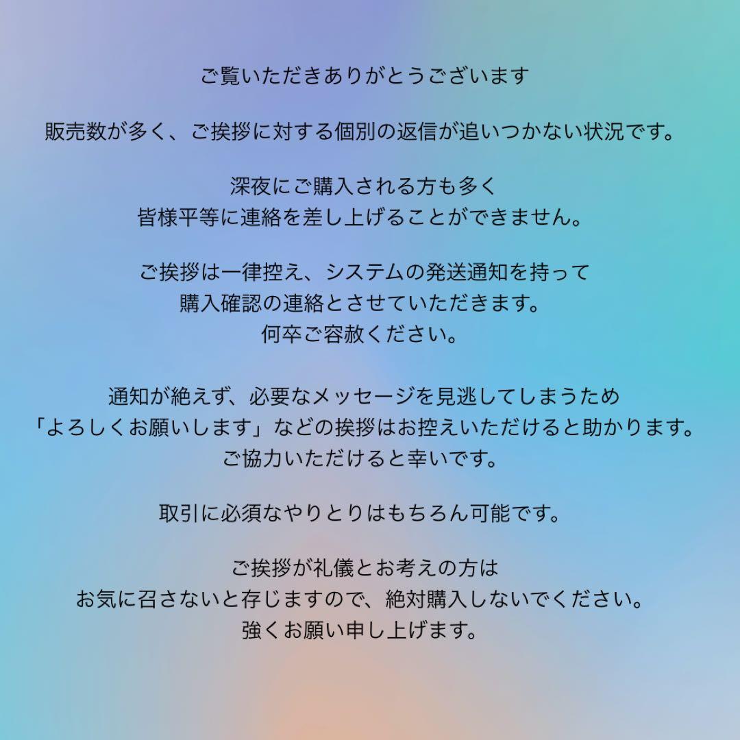 《未開封発送》　ニューヨークパーフェクトチーズ — image 5
